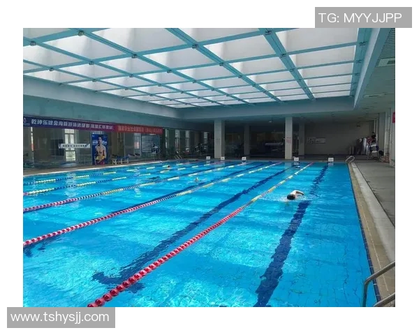 高效清洁泳池的必备技巧与设备推荐助你打造洁净安全的游泳环境